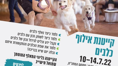 כלבים-סופי.jpg